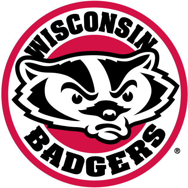 Wisconsin Badgers 2002-Pres Alternate Logo v2 iron on transfers for T-shirts